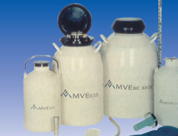 試料凍結保存用液体窒素容器